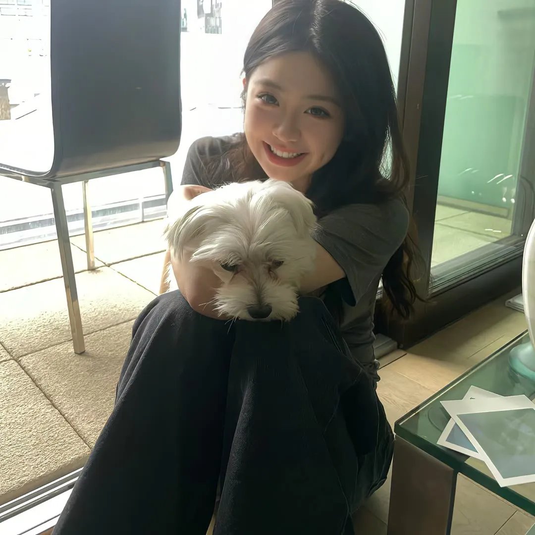 小太阳达芬妮